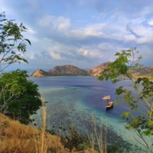 Labuan Bajo et le parc national de Komodo 🇮🇩.#Indonesia #landscape #komodo
